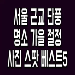 서울 근교 단풍 명소 가을 절정 사진 스팟 베스트5