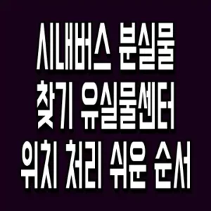 시내버스 분실물 찾기 유실물센터 위치 처리 쉬운 순서