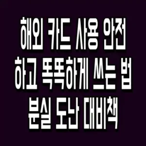 해외 카드 사용 안전하고 똑똑하게 쓰는 법 분실 도난 대비책
