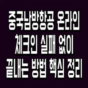 중국남방항공 온라인 체크인 실패 없이 끝내는 방법 핵심 정리