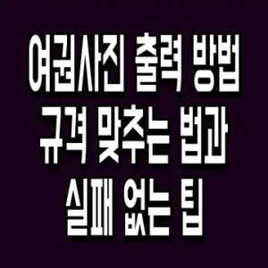 여권사진 출력 방법 규격 맞추는 법과 실패 없는 팁