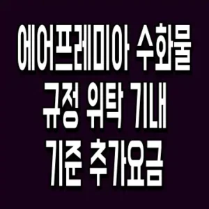 에어프레미아 수화물규정 위탁 기내 기준 추가요금