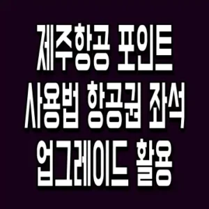 제주항공 포인트 사용법 항공권 좌석 업그레이드 활용