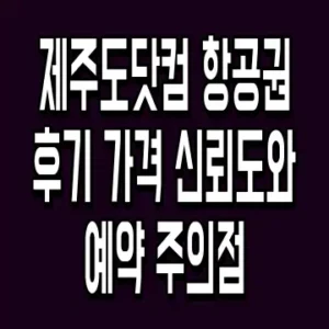 제주도닷컴 항공권 후기 가격 신뢰도와 예약 주의점