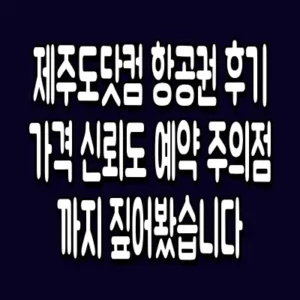 제주도닷컴 항공권 가격 신뢰도와 예약 주의점
