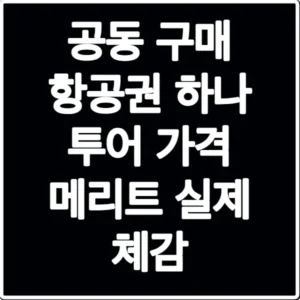 공동 구매 항공권 하나 투어 가격 메리트 실제 체감