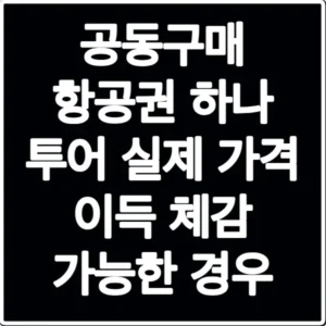 공동구매 항공권 하나 투어 실제 가격 이득 체감 가능한 경우