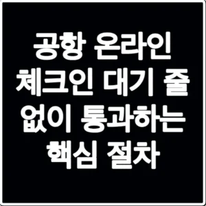 공항 온라인 체크인 대기 줄 없이 통과하는 핵심 절차