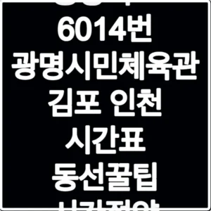 공항버스 6014번 광명시민체육관 김포 인천 시간표 동선꿀팁 시간절약