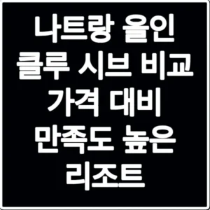 나트랑 올인 클루 시브 비교 가격 대비 만족도 높은 리조트