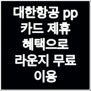 대한항공 pp 카드 제휴 혜택으로 라운지 무료 이용