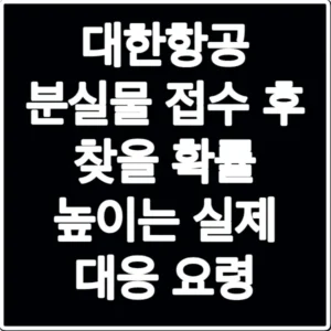 대한항공 분실물 접수 후 찾을 확률 높이는 실제 대응 요령