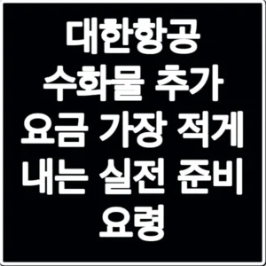 대한항공 수화물 추가 요금 가장 적게 내는 실전 준비 요령