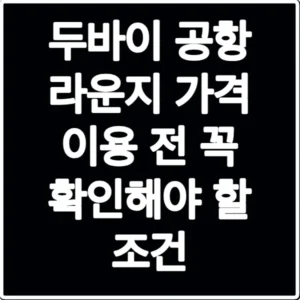 두바이 공항 라운지 가격 이용 전 꼭 확인해야 할 조건