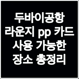 두바이공항 라운지 pp 카드 사용 가능한 장소 총정리
