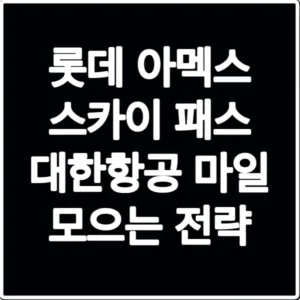 롯데 아멕스 스카이 패스 대한항공 마일 모으는 전략
