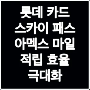 롯데 카드 스카이 패스 아멕스 마일 적립 효율 극대화