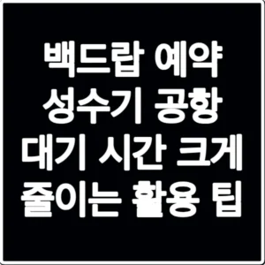 백드랍 예약 성수기 공항 대기 시간 크게 줄이는 활용 팁