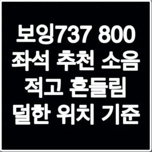 보잉737 800 좌석 추천 소음 적고 흔들림 덜한 위치 기준