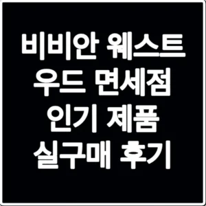 비비안 웨스트 우드 면세점 인기 제품 실구매 후기