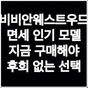 비비안웨스트우드 면세 인기 모델 지금 구매해야 후회 없는 선택
