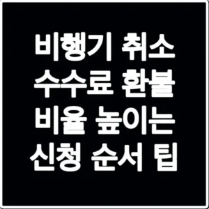 비행기 취소 수수료 환불 비율 높이는 신청 순서 팁
