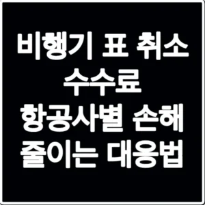 비행기 표 취소 수수료 항공사별 손해 줄이는 대응법
