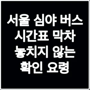 서울 심야 버스 시간표 막차 놓치지 않는 확인 요령