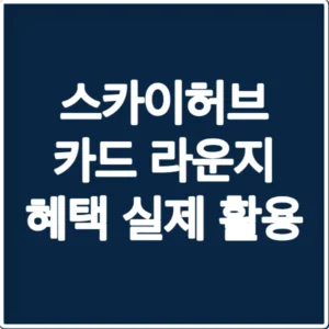 스카이허브 카드 라운지 혜택 실제 활용