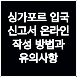 싱가포르 입국 신고서 온라인 작성 방법과 유의사항