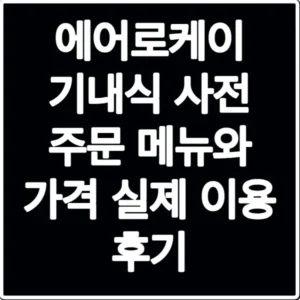 에어로케이 기내식 사전 주문 메뉴와 가격 실제 이용 후기