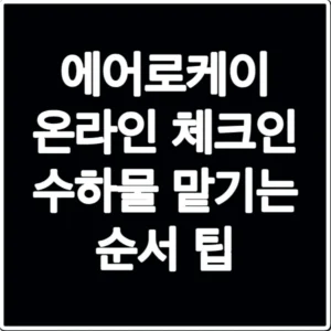 에어로케이 온라인 체크인 수하물 맡기는 순서 팁