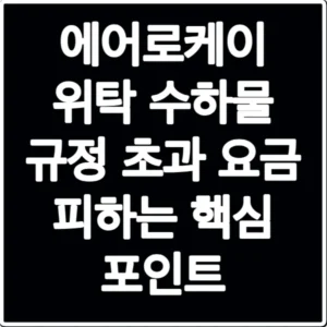 에어로케이 위탁 수하물 규정 초과 요금 피하는 핵심 포인트