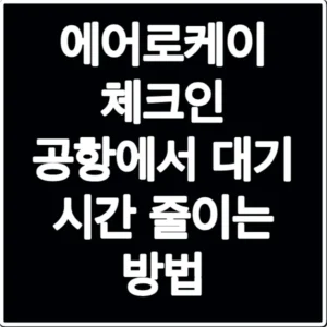 에어로케이 체크인 공항에서 대기 시간 줄이는 방법
