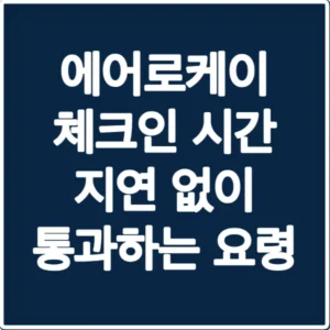 에어로케이 체크인 시간 지연 없이 통과하는 요령