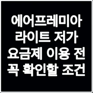에어프레미아 라이트 저가 요금제 이용 전 꼭 확인할 조건