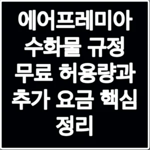 에어프레미아 수화물 규정 무료 허용량과 추가 요금 핵심 정리