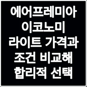 에어프레미아 이코노미 라이트 가격과 조건 비교해 합리적 선택