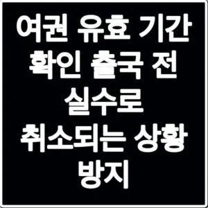 여권 유효 기간 확인 출국 전 실수로 취소되는 상황 방지
