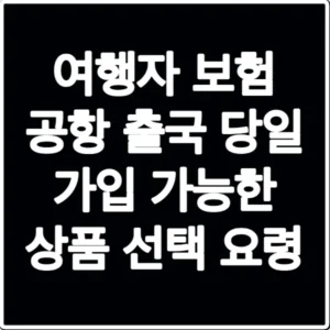 여행자 보험 공항 출국 당일 가입 가능한 상품 선택 요령