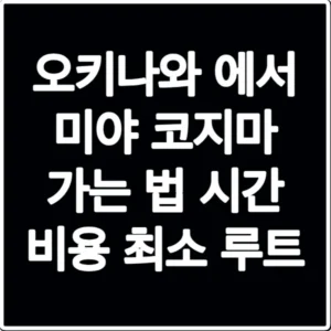 오키나와 에서 미야 코지마 가는 법 시간 비용 최소 루트