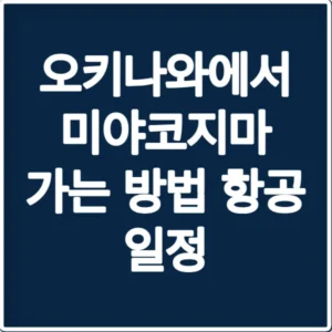 오키나와에서 미야코지마 가는 방법 항공 일정