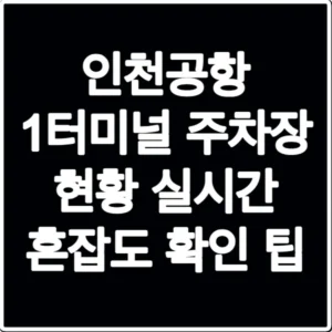 인천공항 1터미널 주차장 현황 실시간 혼잡도 확인 팁