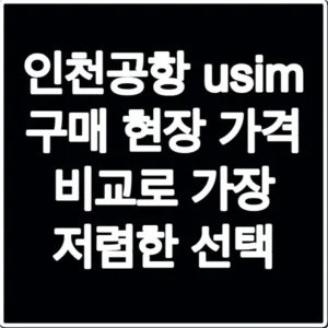 인천공항 usim 구매 현장 가격 비교로 가장 저렴한 선택