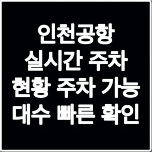 인천공항 실시간 주차 현황 주차 가능 대수 빠른 확인