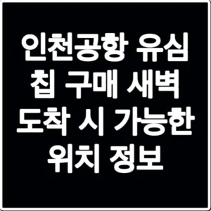 인천공항 유심 칩 구매 새벽 도착 시 가능한 위치 정보