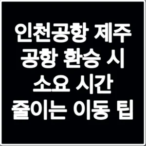 인천공항 제주 공항 환승 시 소요 시간 줄이는 이동 팁