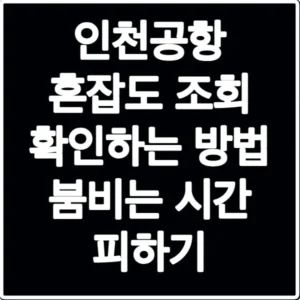 인천공항 혼잡도 조회 확인하는 방법 붐비는 시간 피하기
