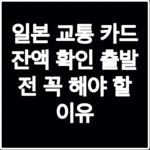 일본 교통 카드 잔액 확인 출발 전 꼭 해야 할 이유