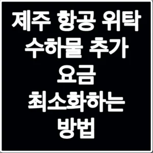 제주 항공 위탁 수하물 추가 요금 최소화하는 방법